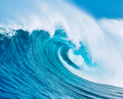 Radid transformational therapist